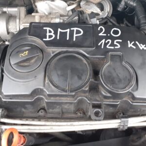 BMP